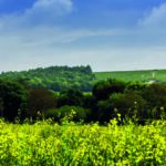 New grant scheme targets AONBs and National Parks