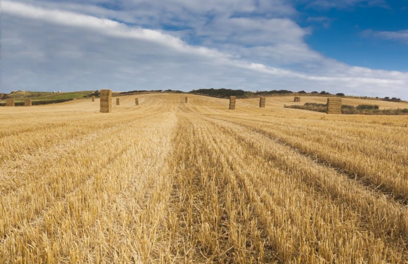 The Agricultural Transition Plan – Is your business prepared?