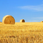 Agricultural Property Relief - Don’t let the taxman harvest more than his due