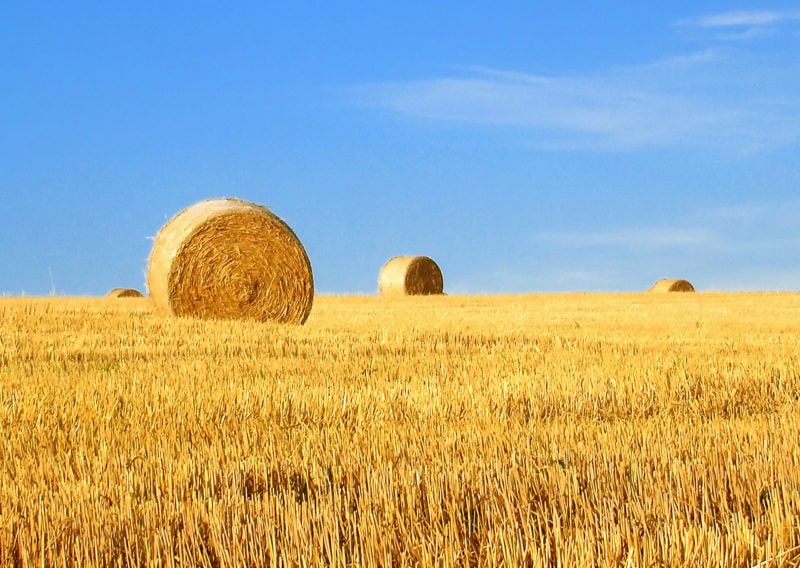 Agricultural Property Relief - Don’t let the taxman harvest more than his due